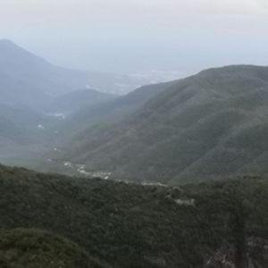 Meet your Posher, Emmanuel